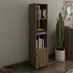 Antik Ceviz